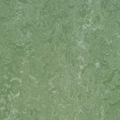 Linoleum